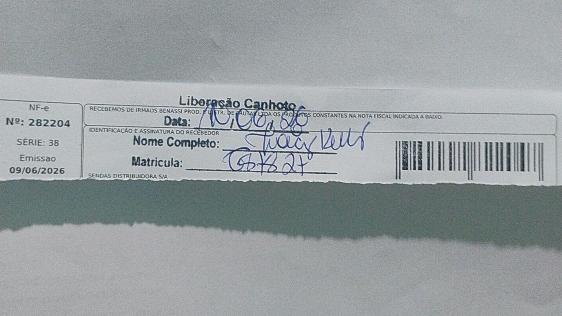 Canhoto 157623493
