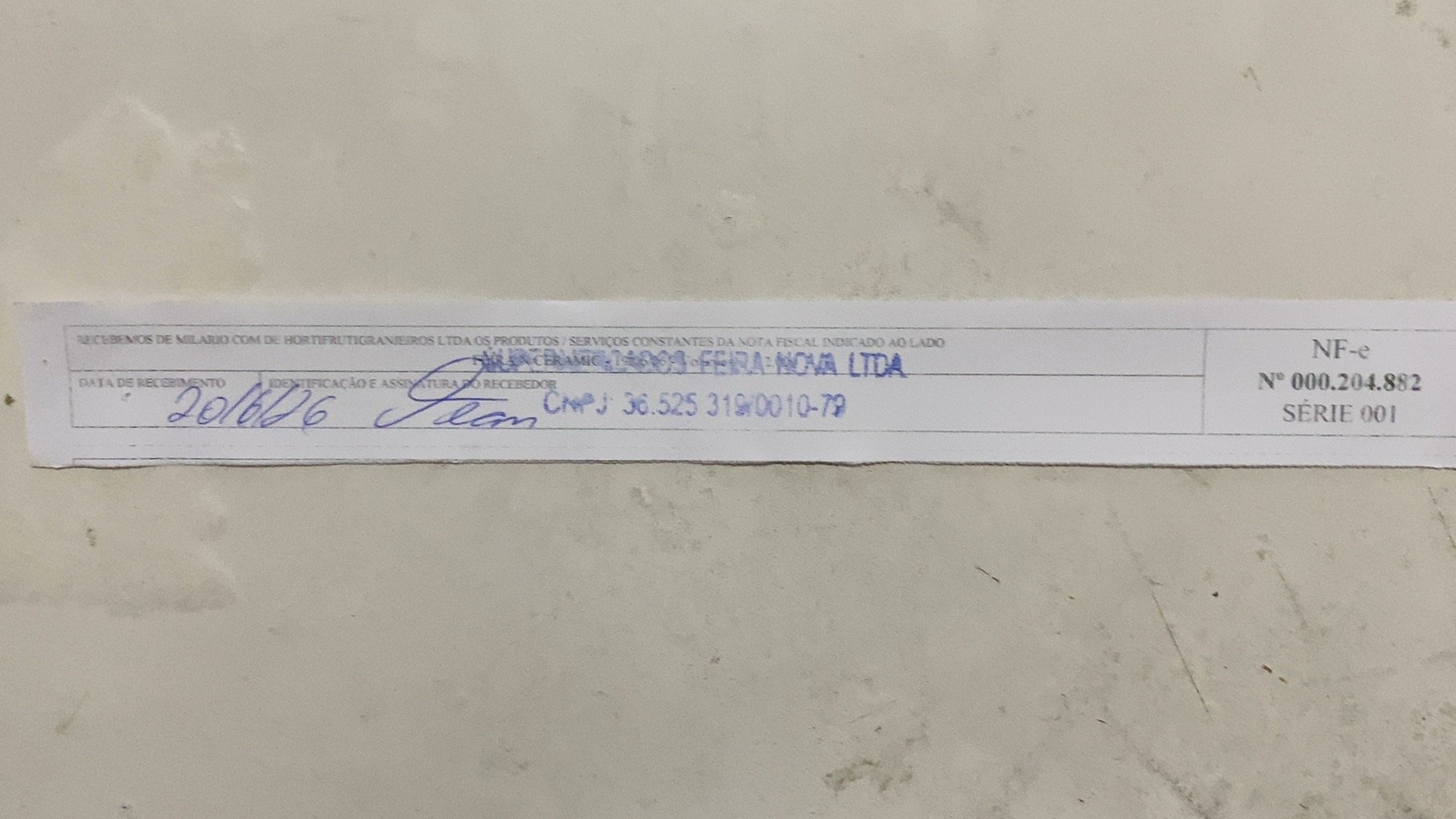 Canhoto 159494193