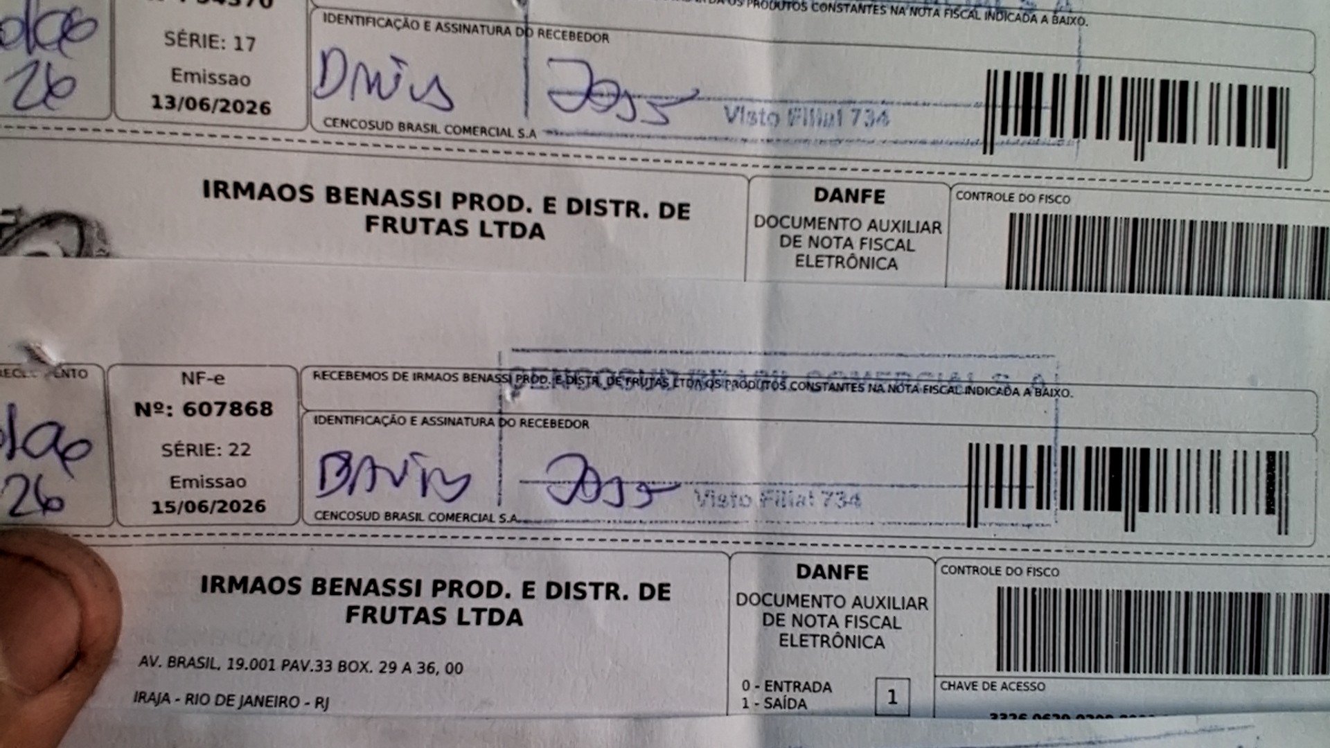 Canhoto 158567993