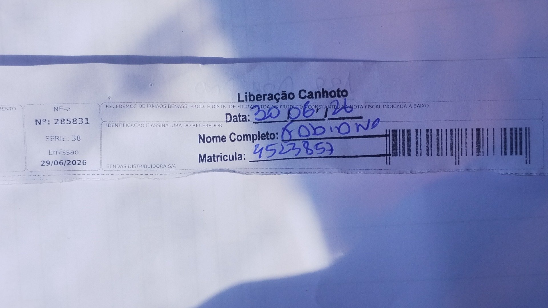 Canhoto 161235793