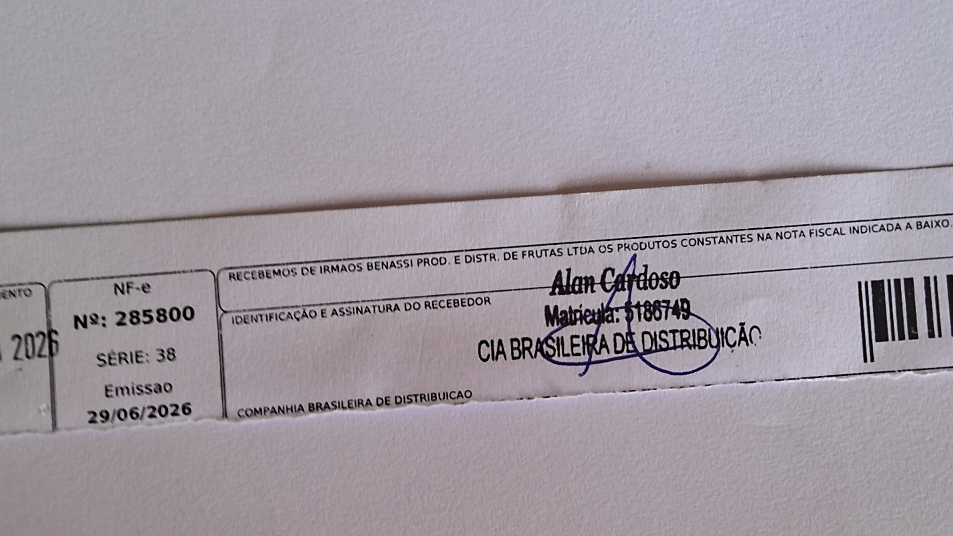 Canhoto 161538993