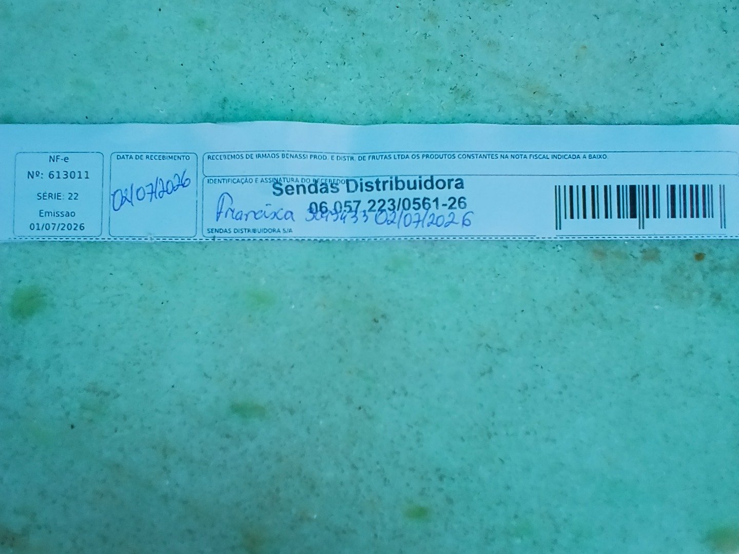 Canhoto 161749493