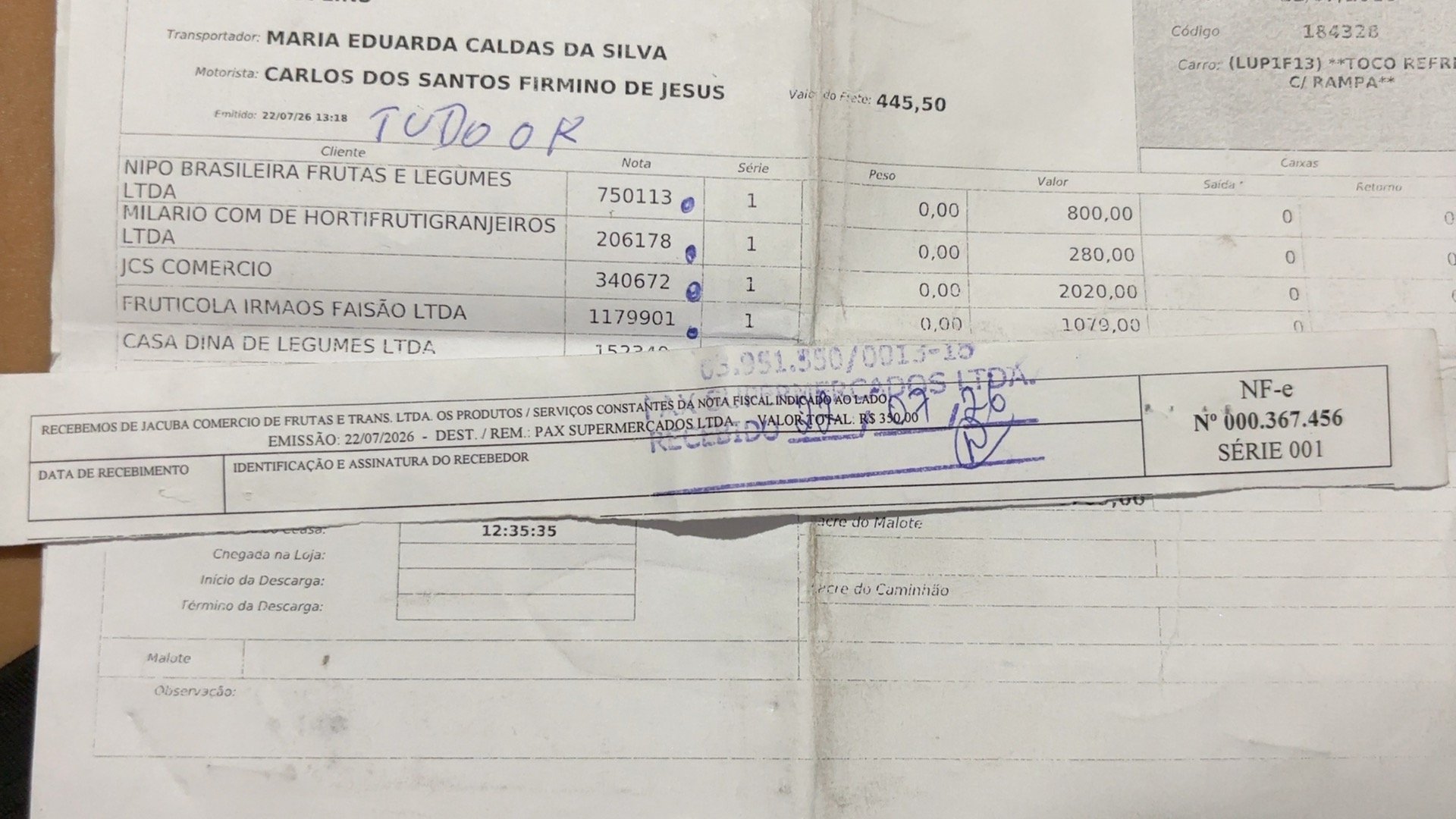 Canhoto 165289593