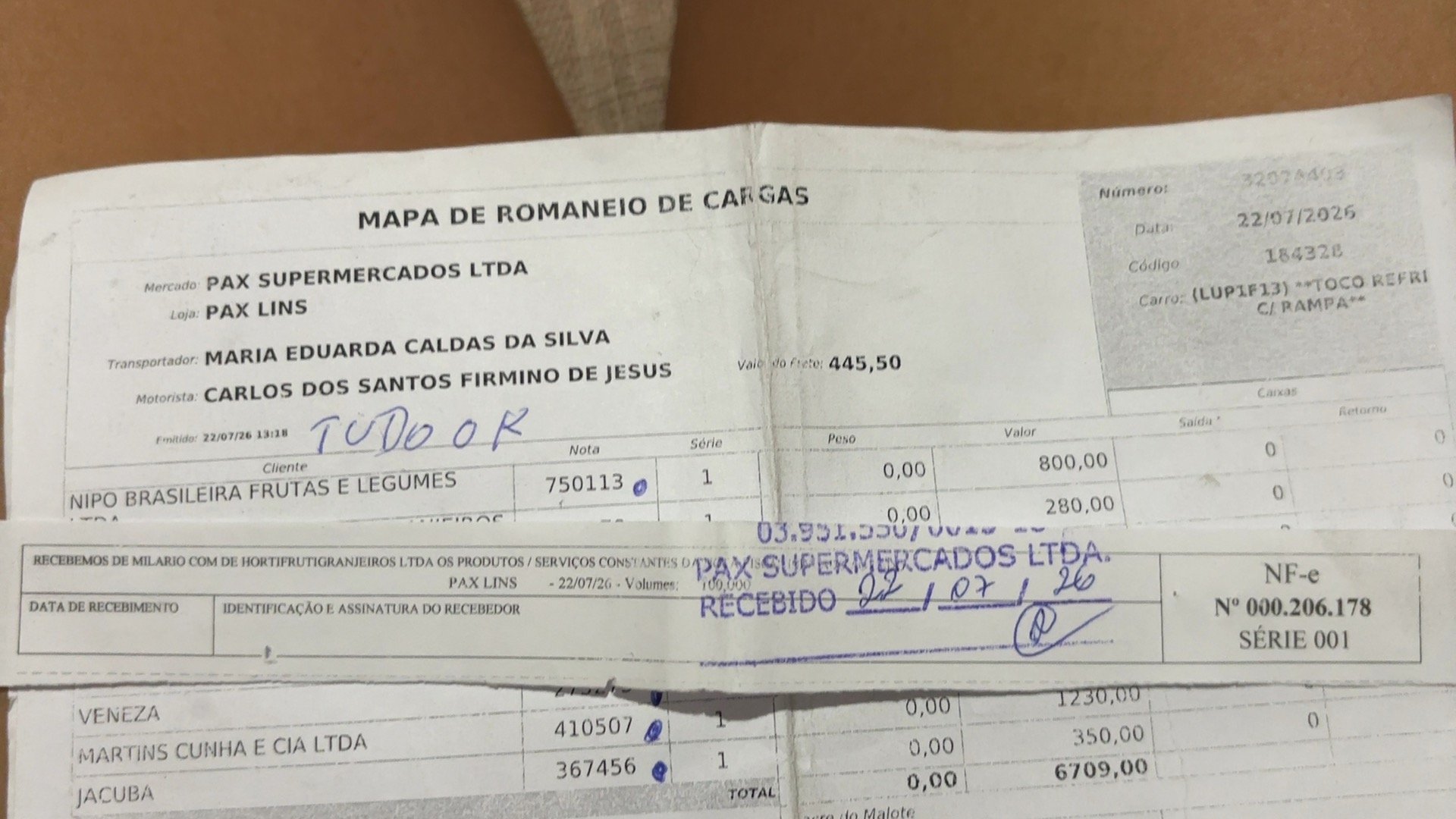 Canhoto 165288993