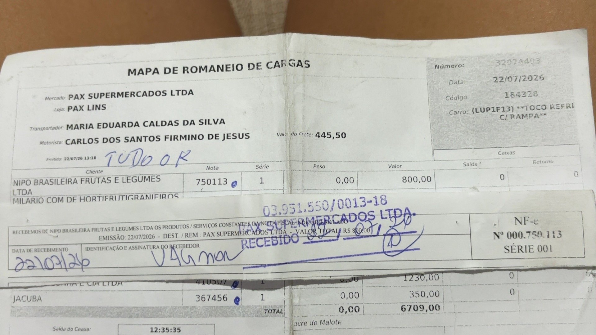 Canhoto 165288893