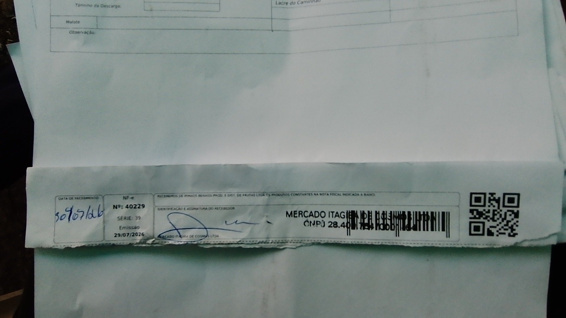 Canhoto 166550893