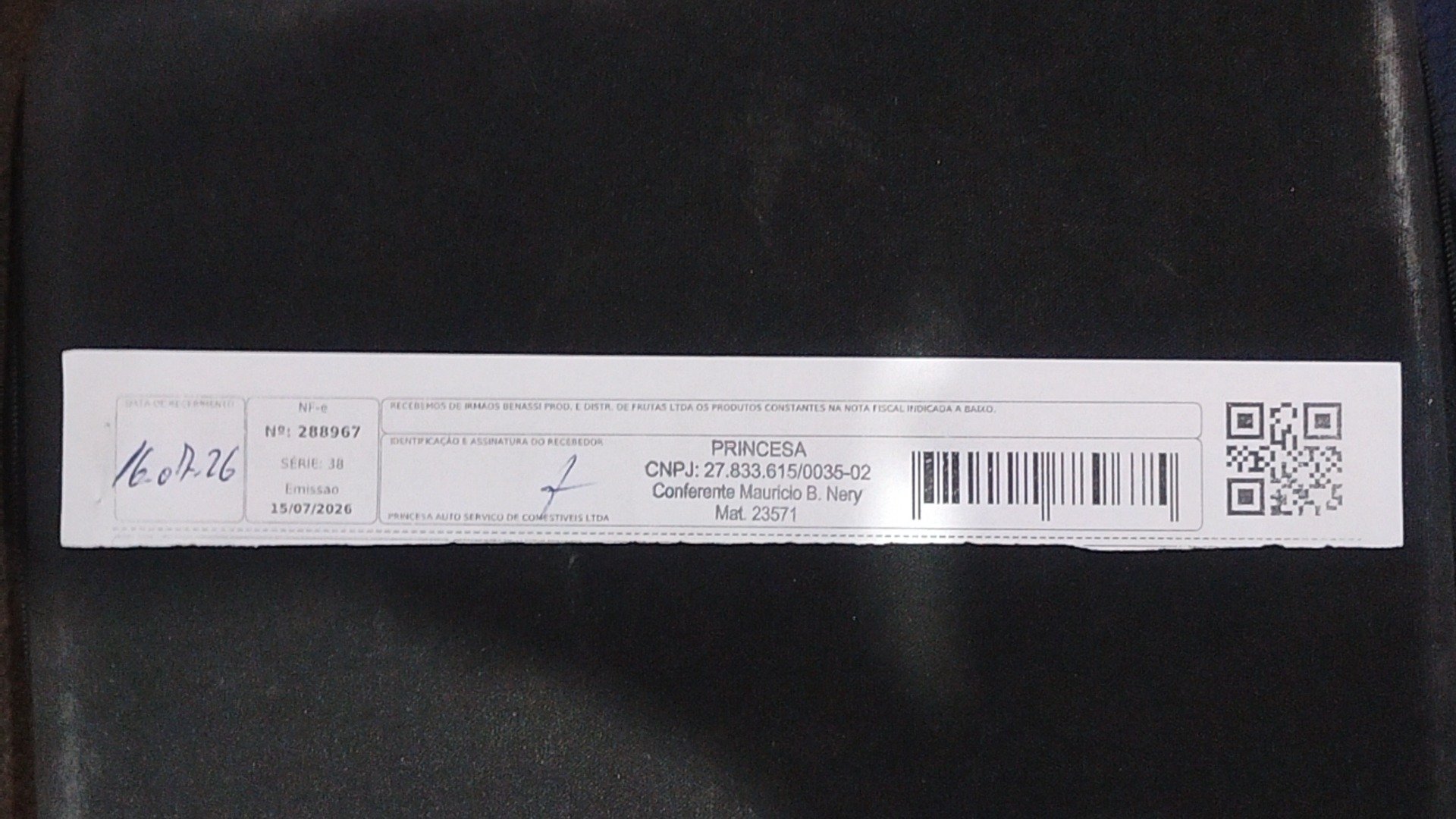 Canhoto 164158593