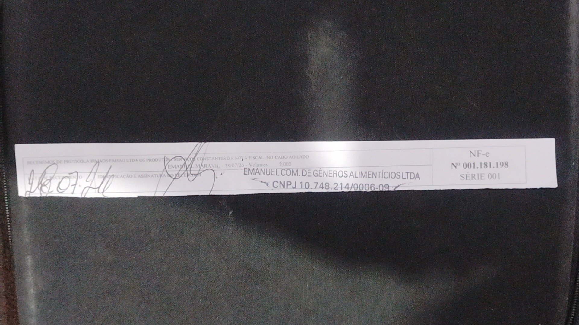 Canhoto 166266993