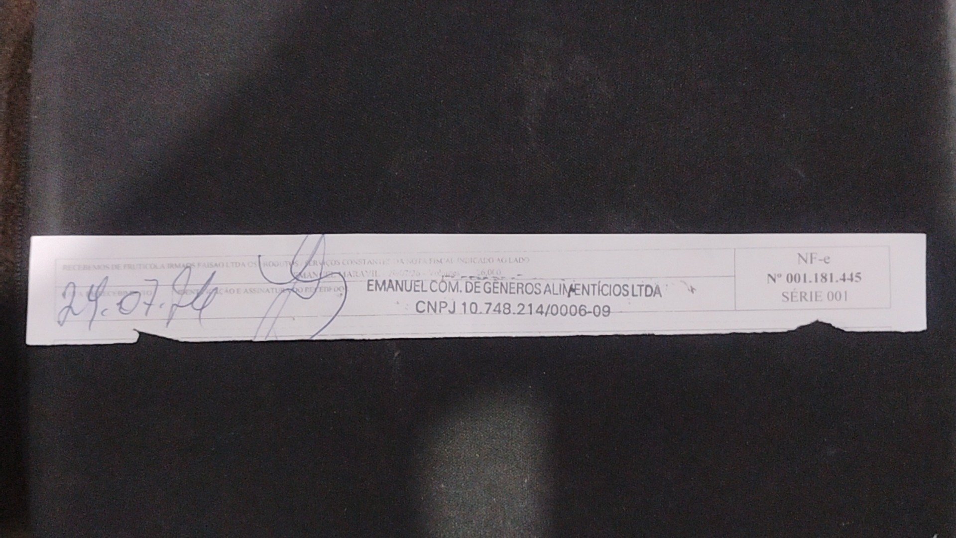 Canhoto 166484893
