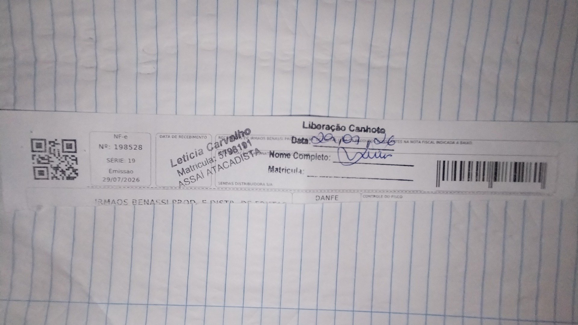 Canhoto 166439893