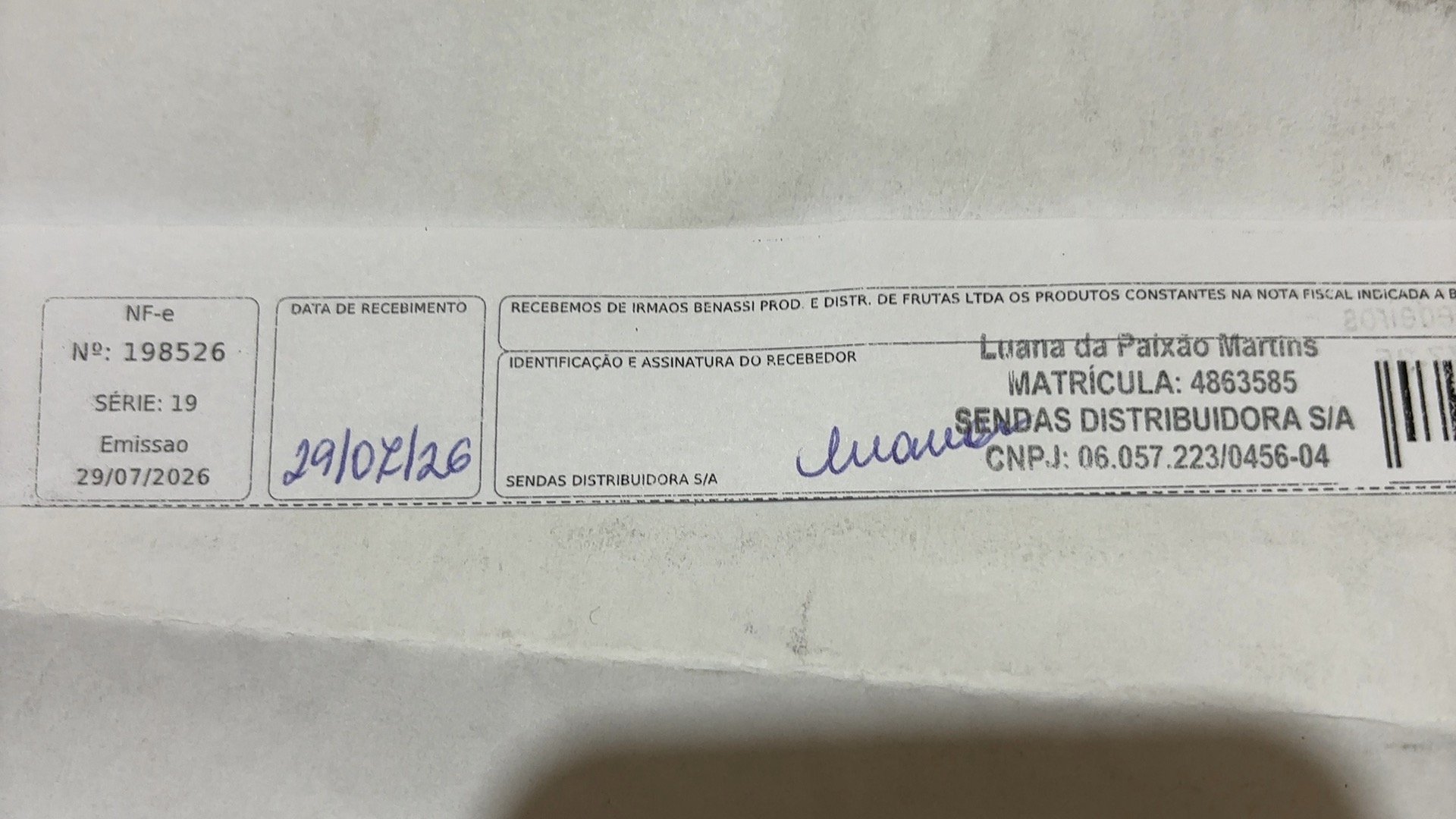 Canhoto 166439593