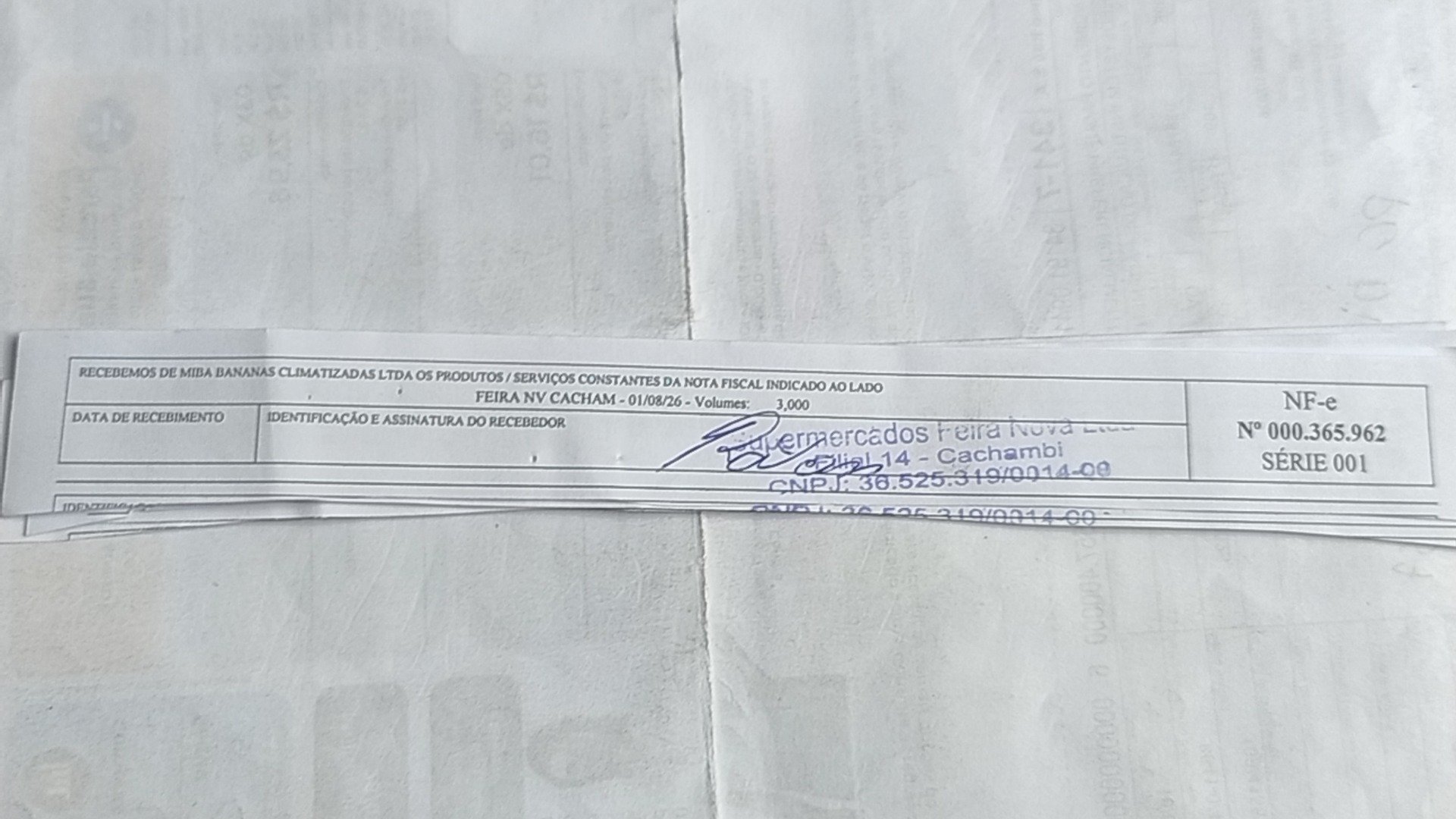 Canhoto 167090793
