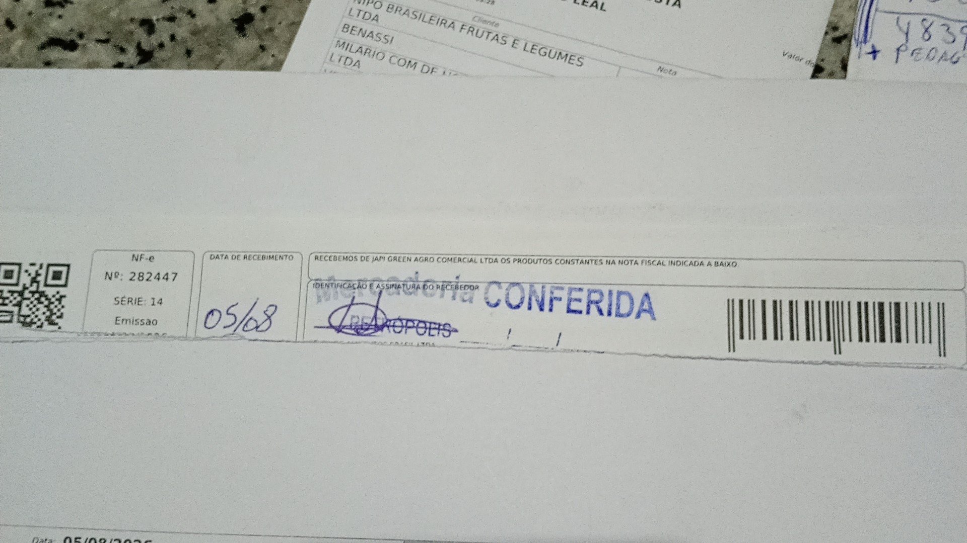 Canhoto 167651893
