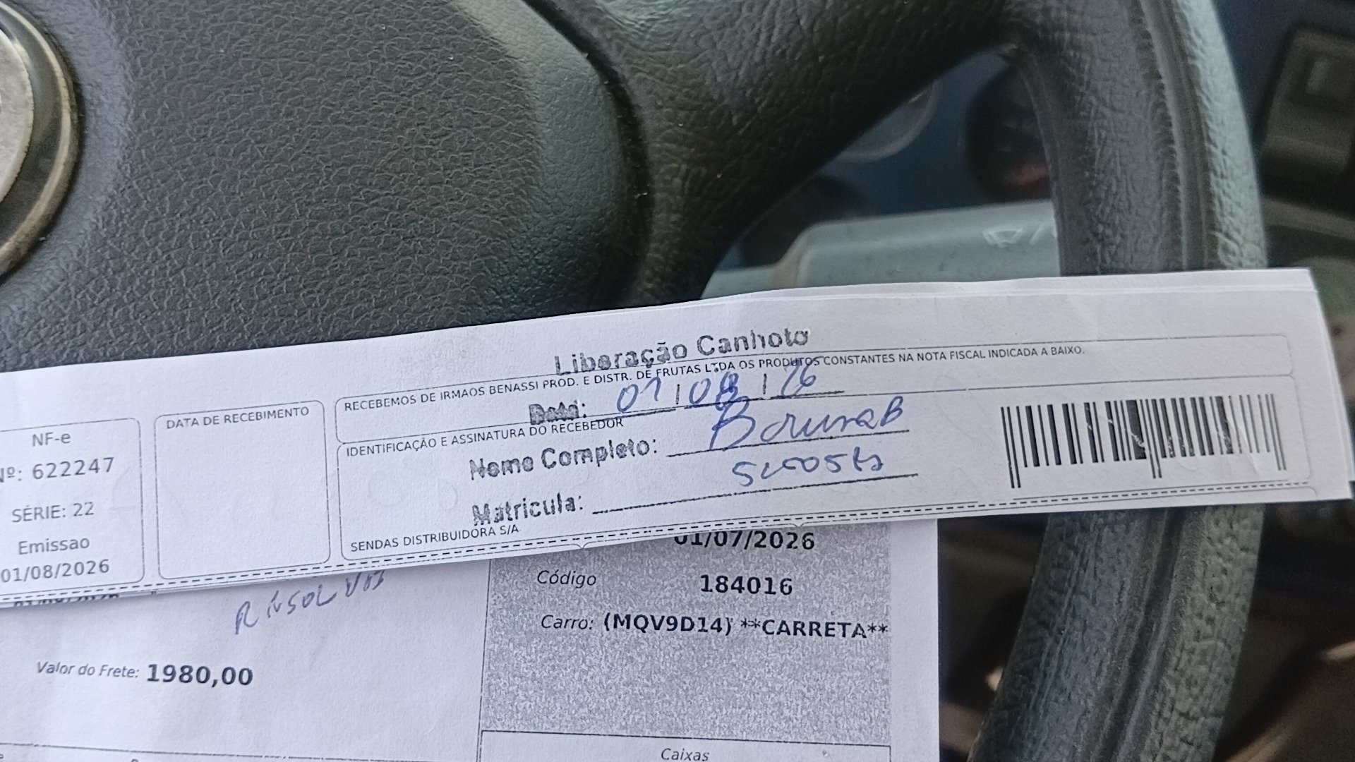 Canhoto 167008993