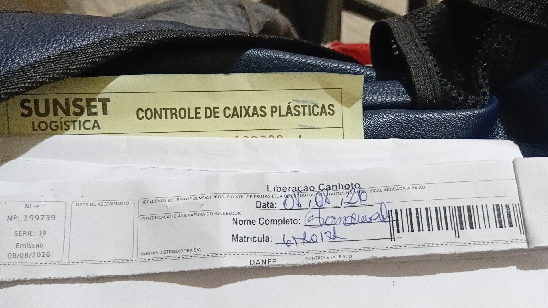 Canhoto 168285893