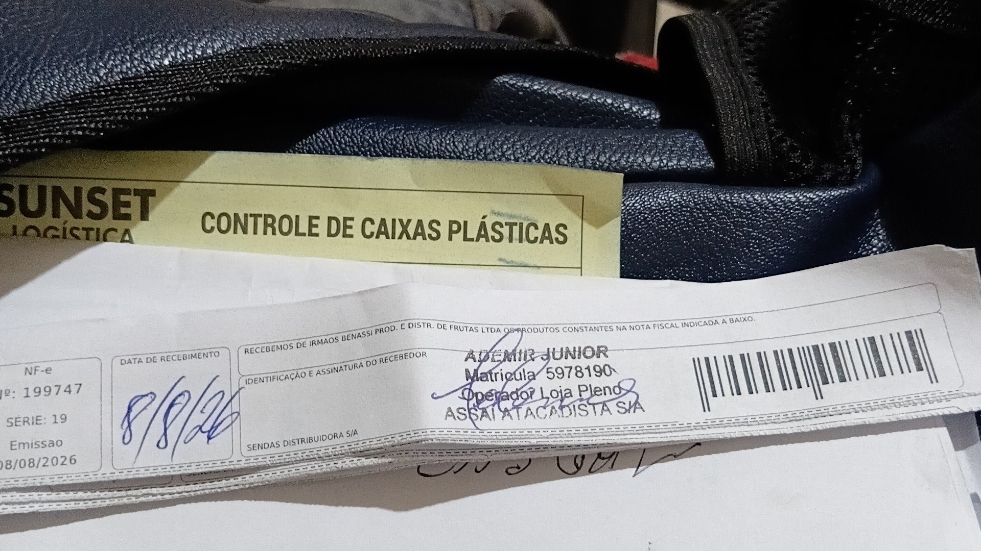 Canhoto 168296993
