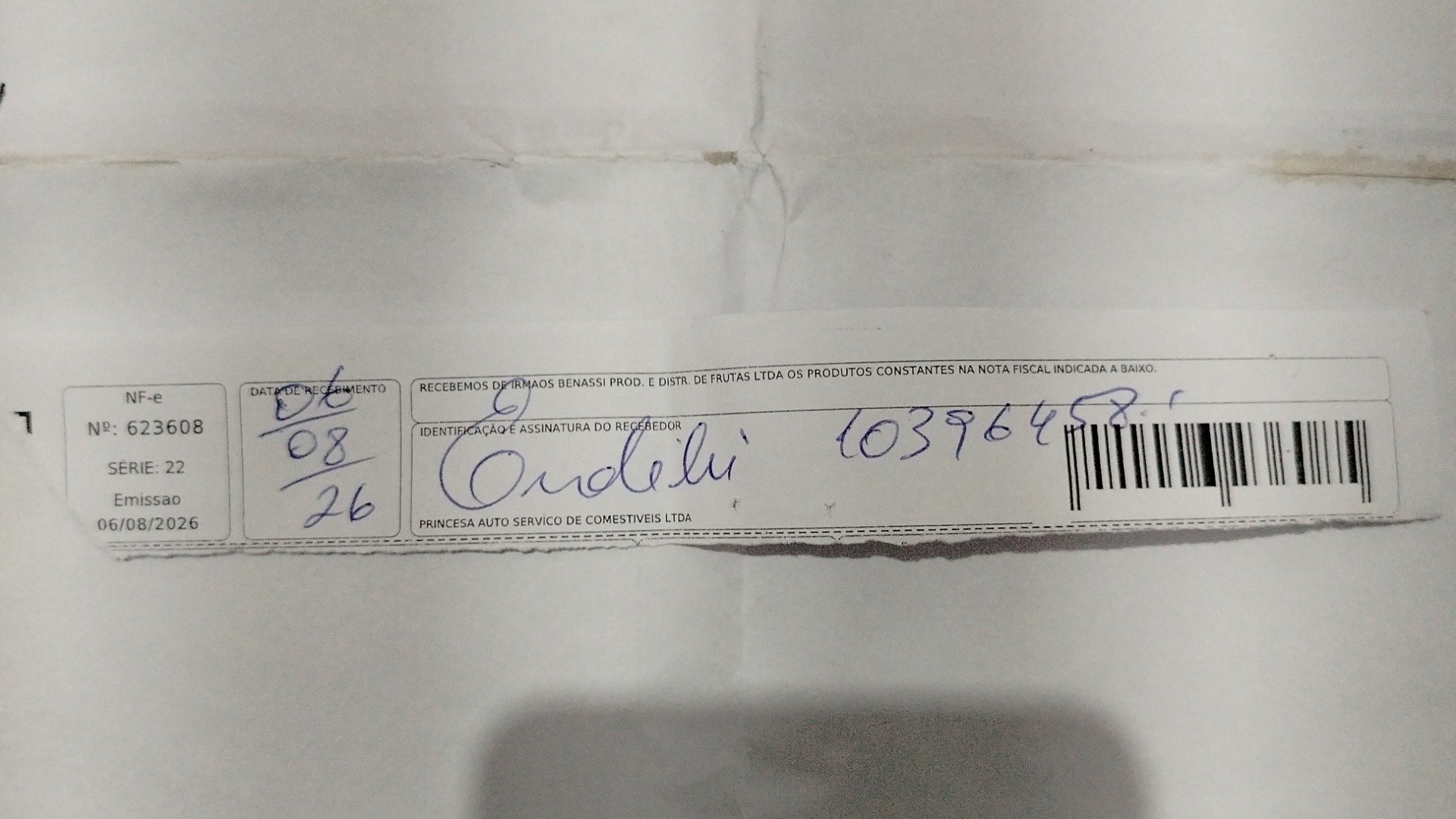 Canhoto 167808593