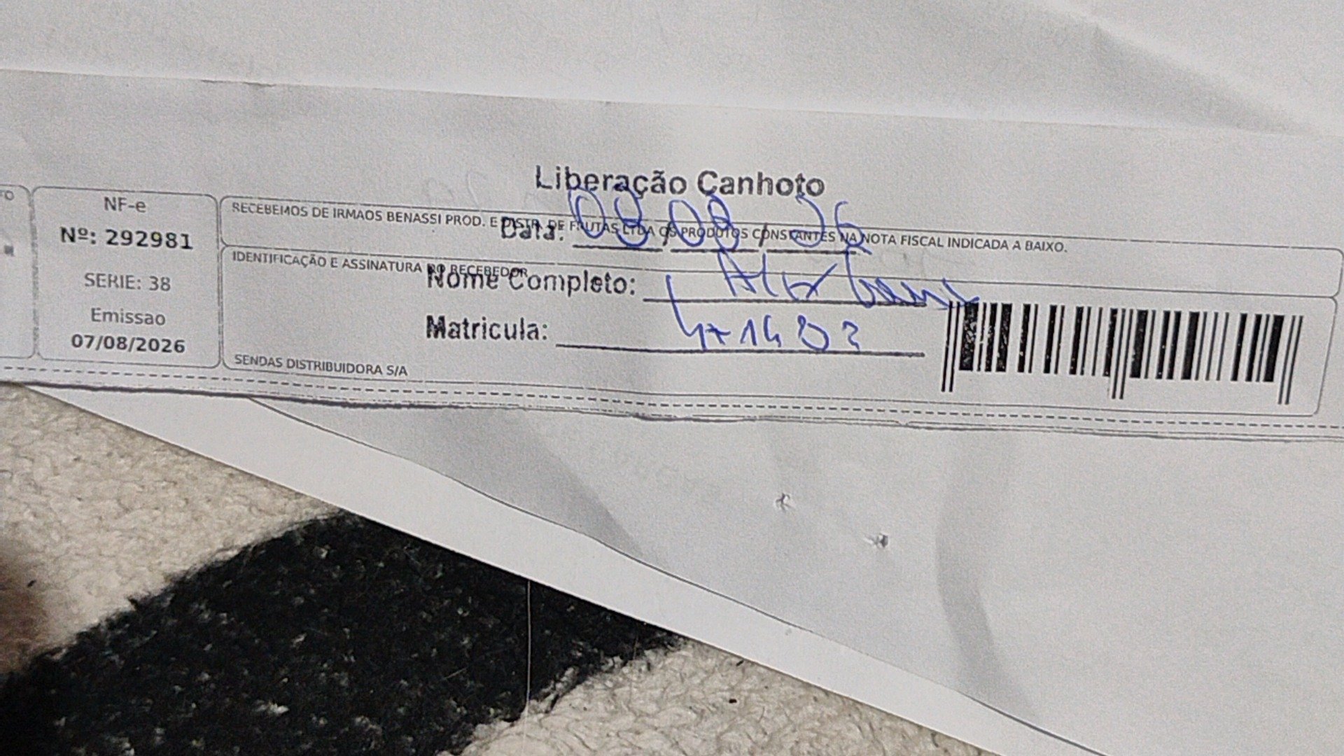 Canhoto 168276693