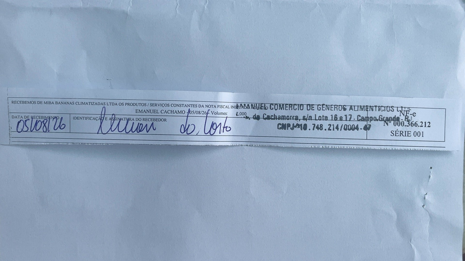 Canhoto 167720993