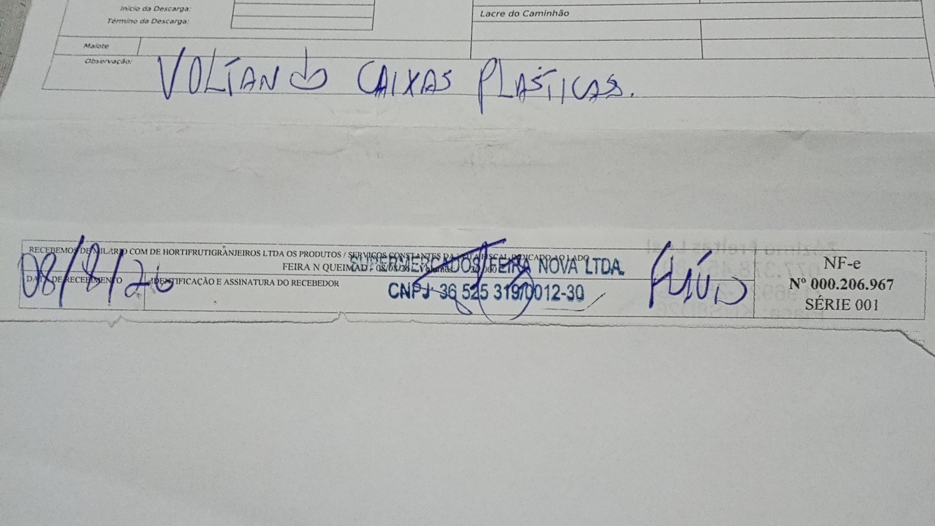 Canhoto 168375393