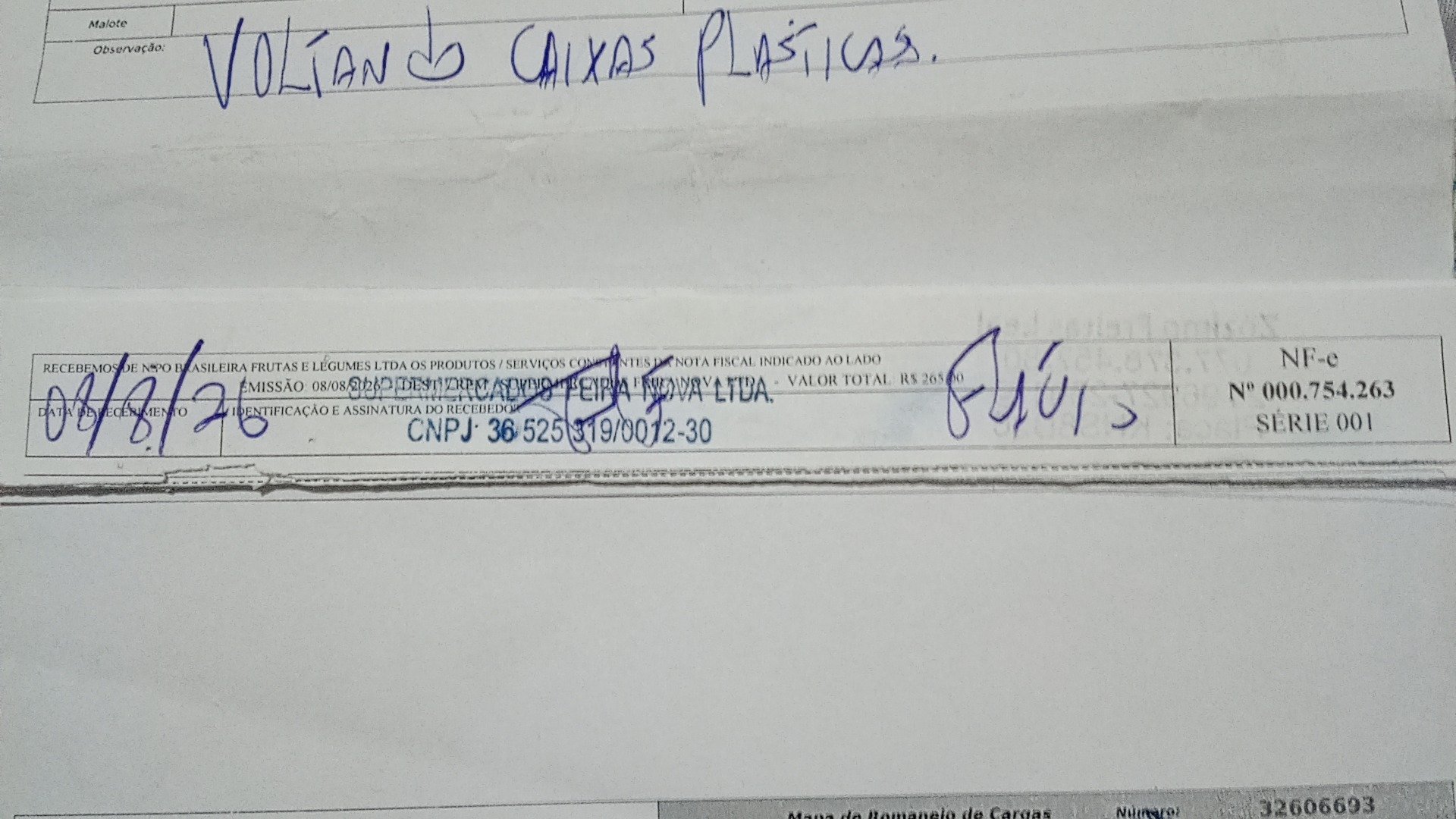 Canhoto 168375593