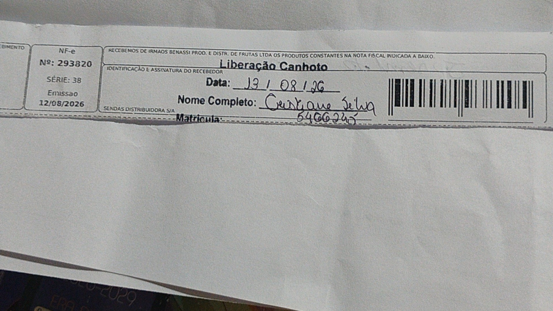 Canhoto 169097893