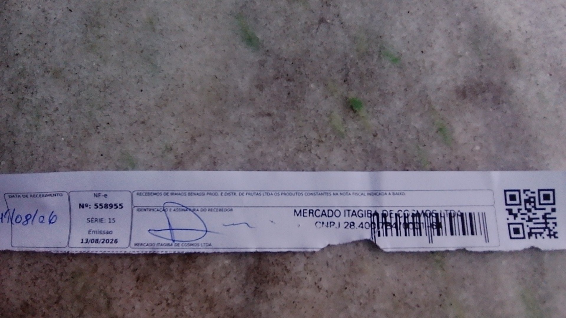 Canhoto 169329993
