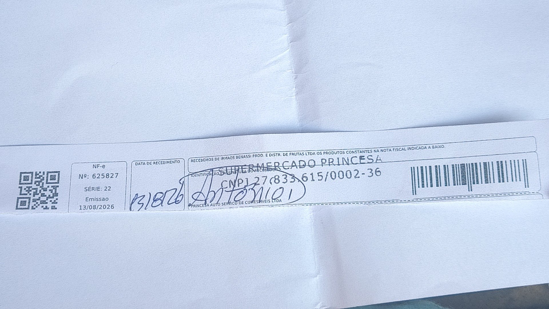 Canhoto 169113993