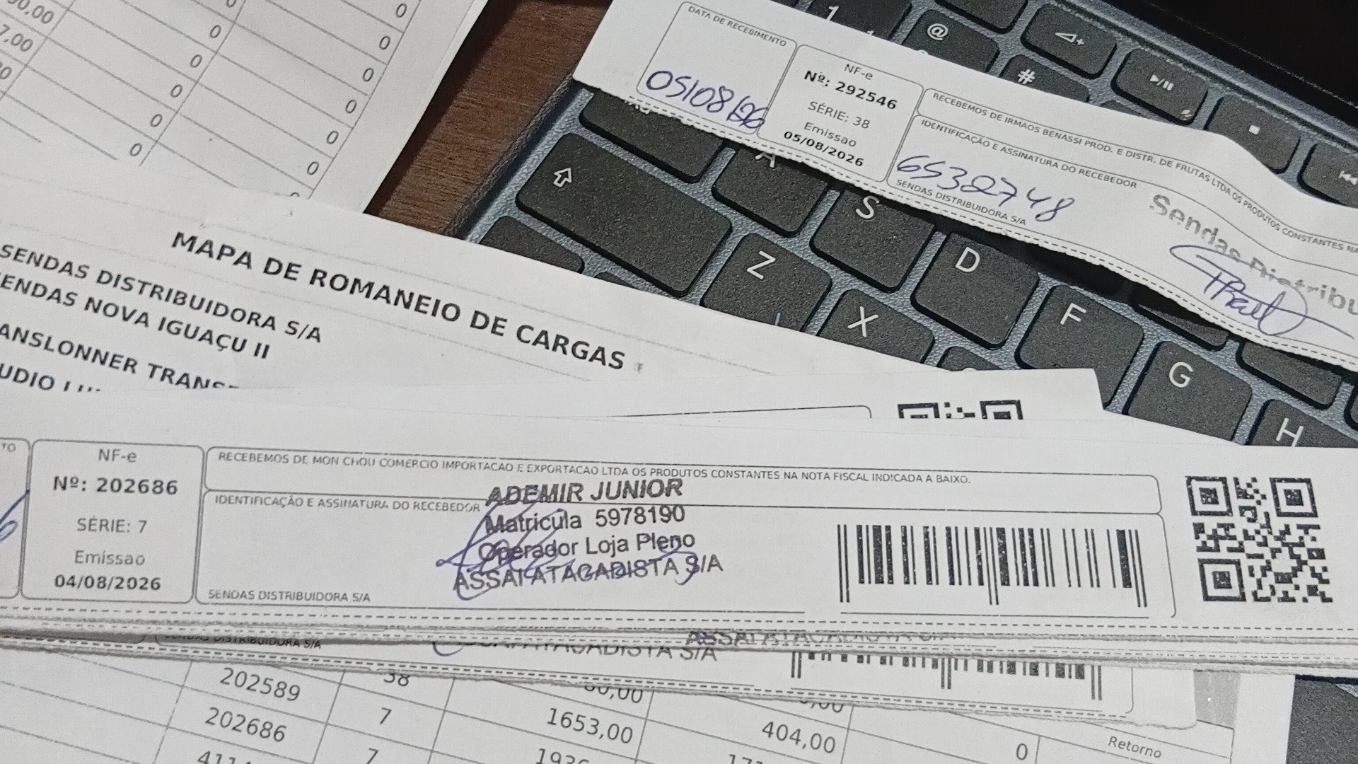 Canhoto 167616593