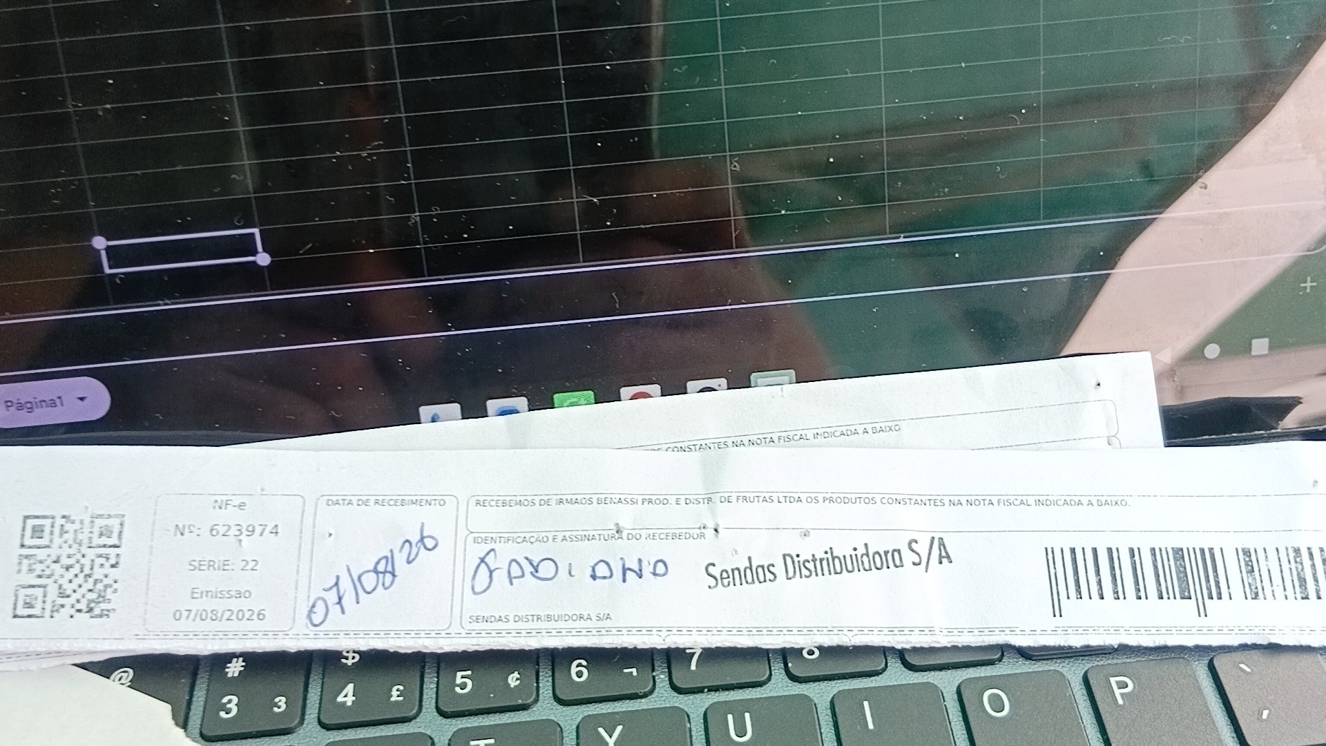 Canhoto 168035893
