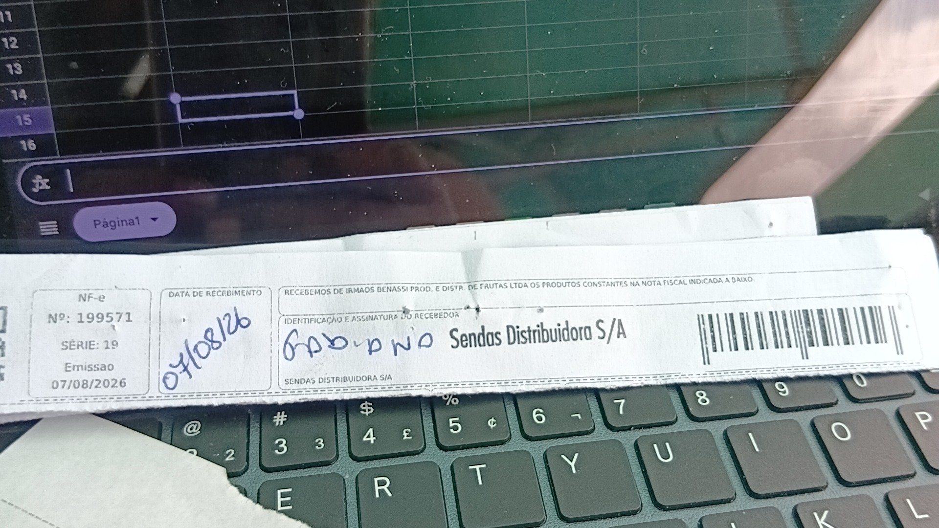Canhoto 168035593