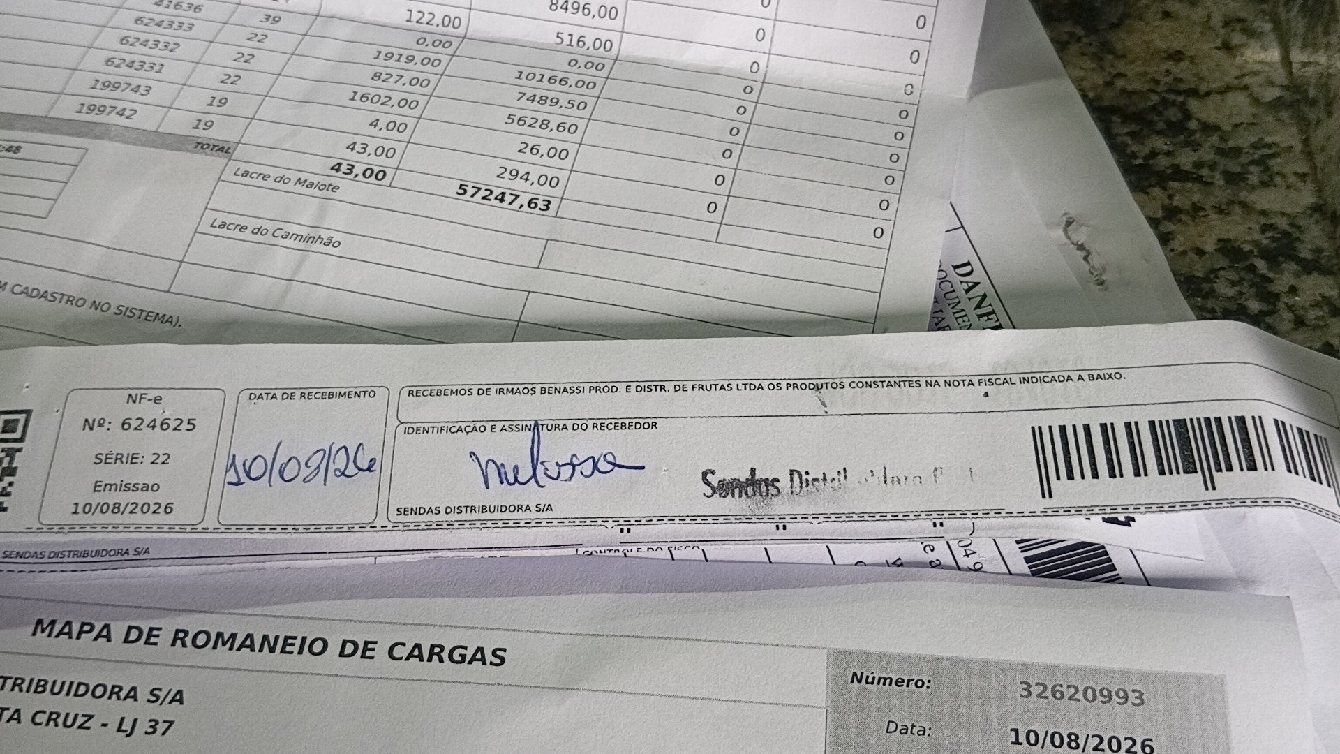 Canhoto 168484693