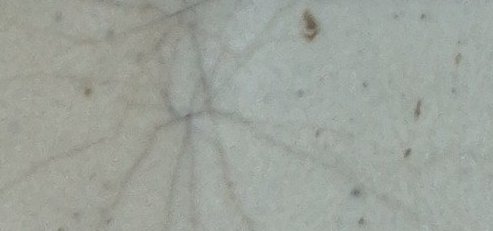 Assinatura