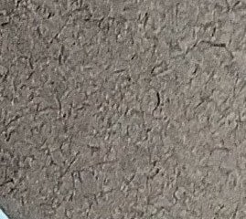 Assinatura