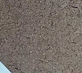 Assinatura