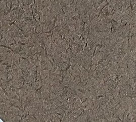 Assinatura