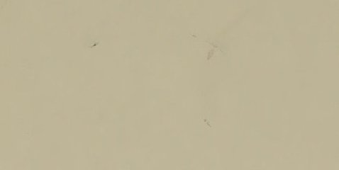 Assinatura