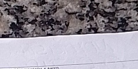 Assinatura