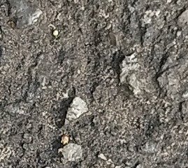 Assinatura