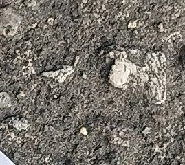Assinatura
