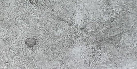 Assinatura