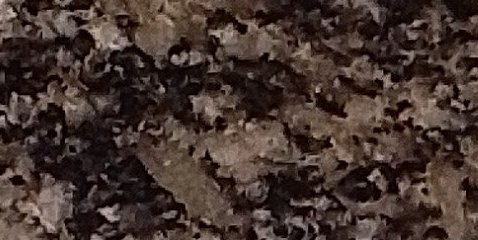 Assinatura