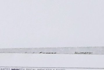 Assinatura