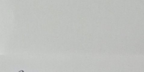 Assinatura