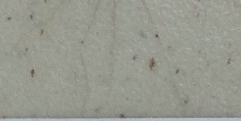 Assinatura