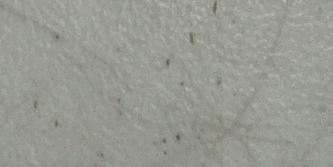 Assinatura