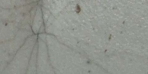 Assinatura