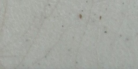Assinatura