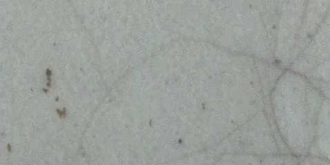 Assinatura