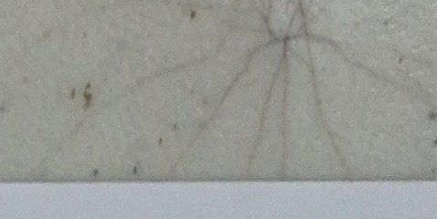 Assinatura